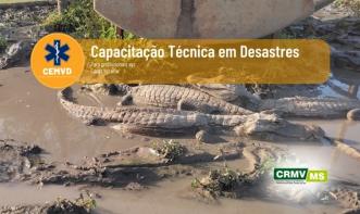 Capacitação Técnica em Desastres
